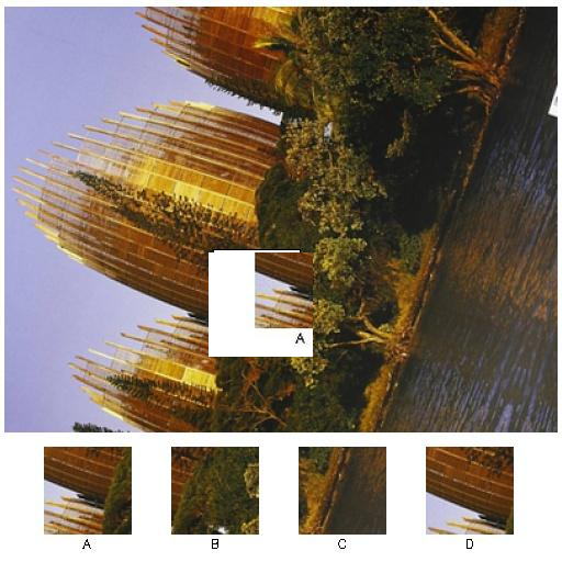 A0